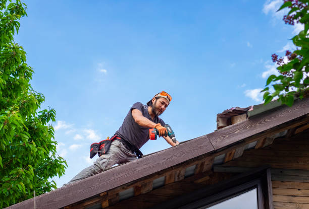 Best Asphalt Shingle Roofing  in Williamston, SC